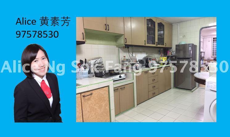 Blk 163 Stirling Road (Queenstown), HDB 3 Rooms #127670262